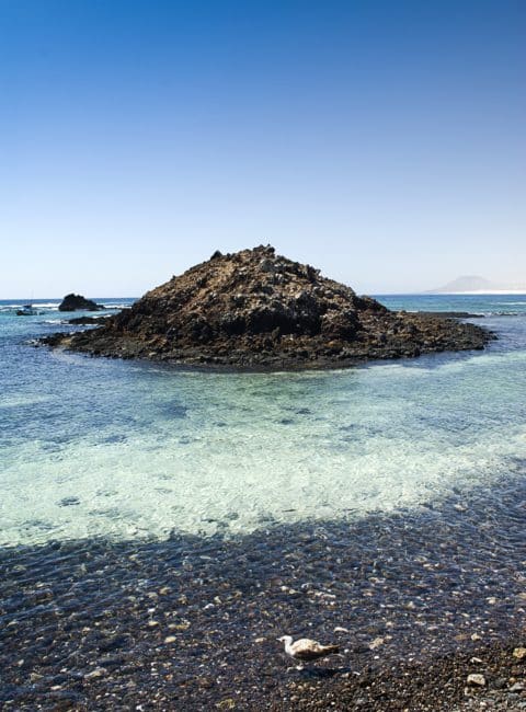 Islote de Lobos