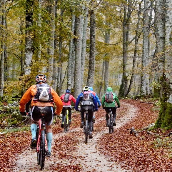 Parque Natural de Urbasa-Andia, Navarra