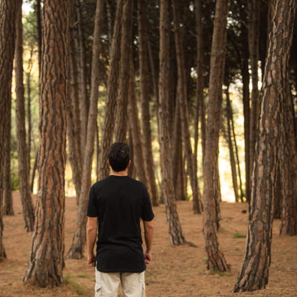 Naturaleza sensorial en la Región de Murcia