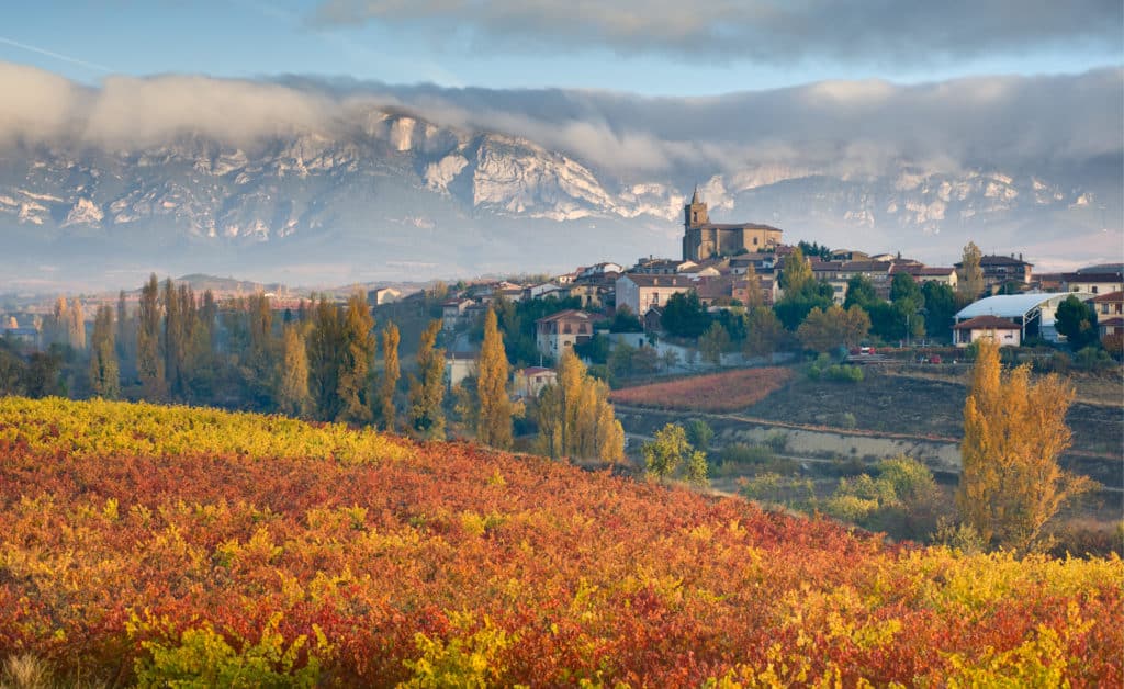 Rioja Alavesa