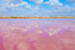 Las salinas de San Pedro del Pinatar, donde Murcia se tiñe de rosa