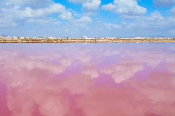 Las salinas de San Pedro del Pinatar, donde Murcia se tiñe de rosa