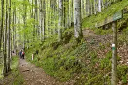 Los 7 mejores destinos de naturaleza otoñal en Navarra