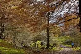 7 planes para un otoño de aventura en Navarra