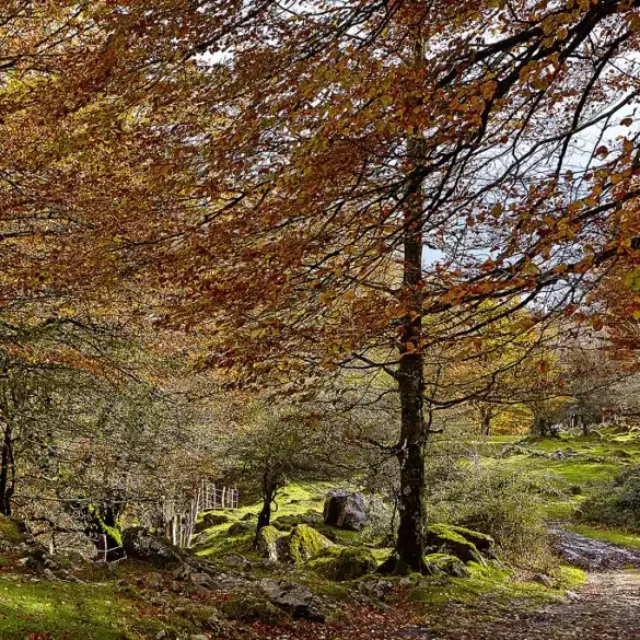 Sierra de Aralar