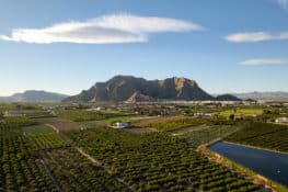 5 rutas en sierra de Callosa, una abrupta montaña en plena huerta alicantina