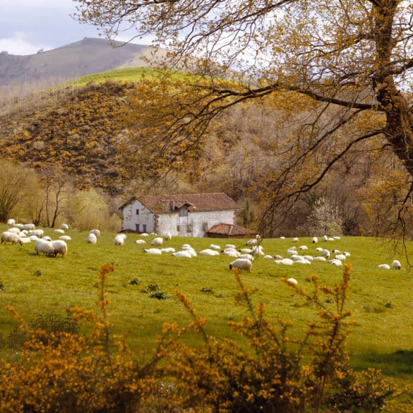 Destinos de España: Valle de Baztan