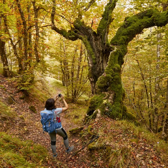 Pirineo navarro, ruta de Gartxot