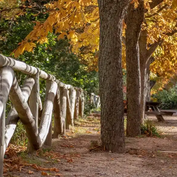 La Font Roja en otoño