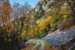 Parque Natural de La Font Roja en Alcoy, donde el otoño se viste de poesía