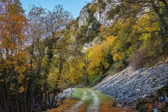 Parque Natural de La Font Roja en Alcoy, donde el otoño se viste de poesía