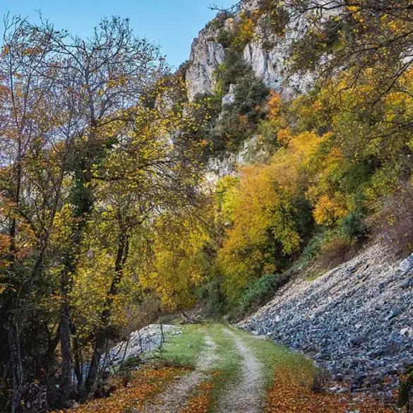 La Font Roja en otoño