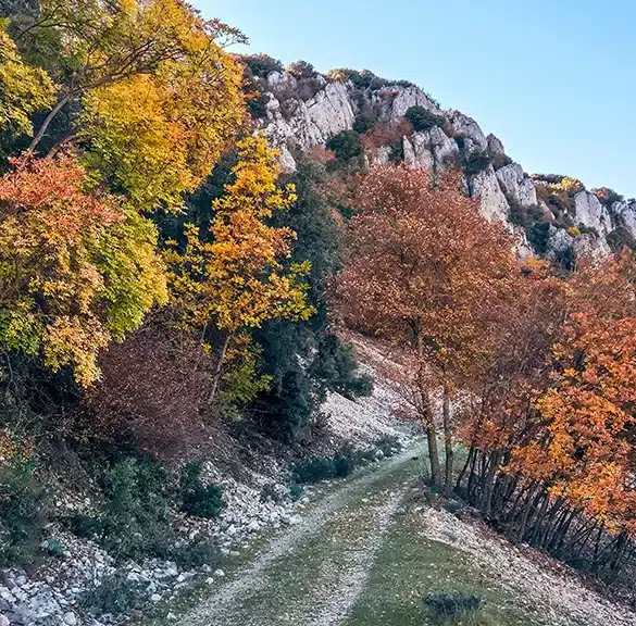 Parque Natural de la Font Roja en Alcoy (Alicante)