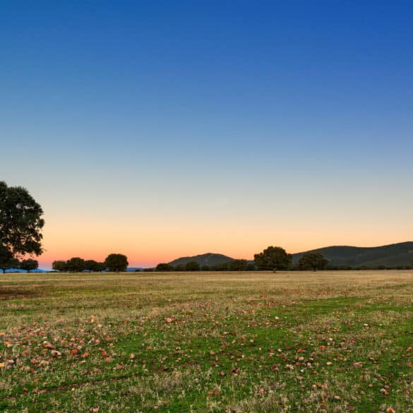 Parque Nacional de Cabañeros en Castilla-La Mancha