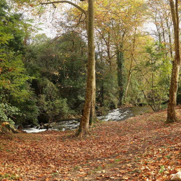 Fuente del Francés, río Aguanaz, Hoznayo