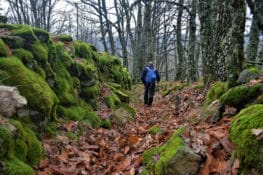 Rutas en Cáceres para exprimir el otoño