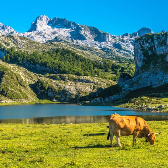 Lagos de Covadonga, en los Picos de Europa