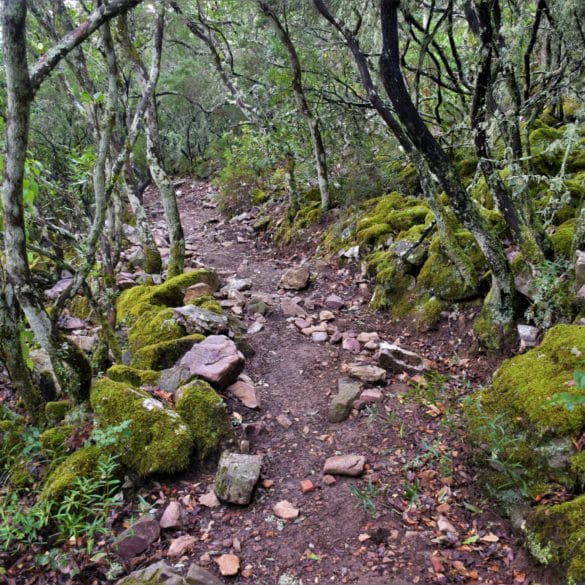 Parque Nacional de Cabañeros. Por Anna