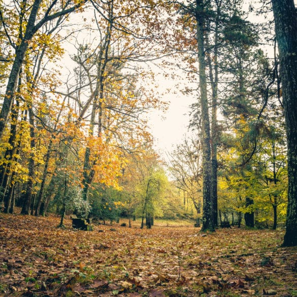 Parque natural del Saja, Ucieda. Por luism2p.