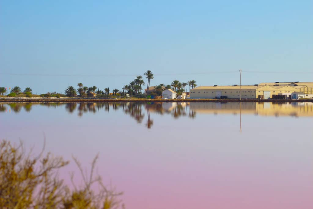 Salinas de San Pedro del Pinatar, Murcia, España