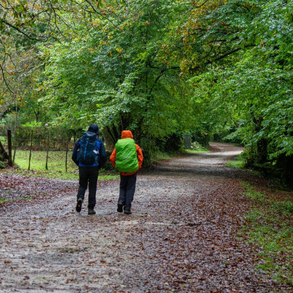 escursionistas en el Robledal de Ucieda, parque natural del Saja-Besaya, Cantabria, Spain