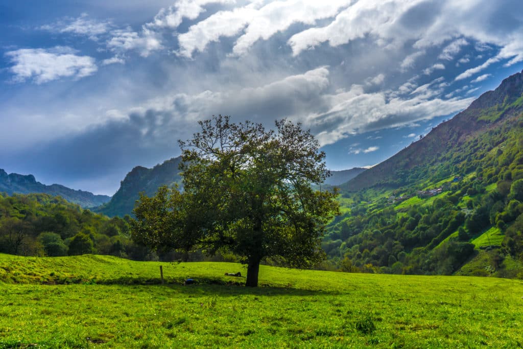 Pradera de la ruta de las Xanas en Asturias.